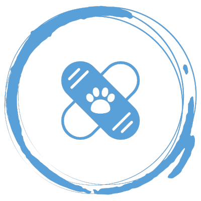 pet medicine icon