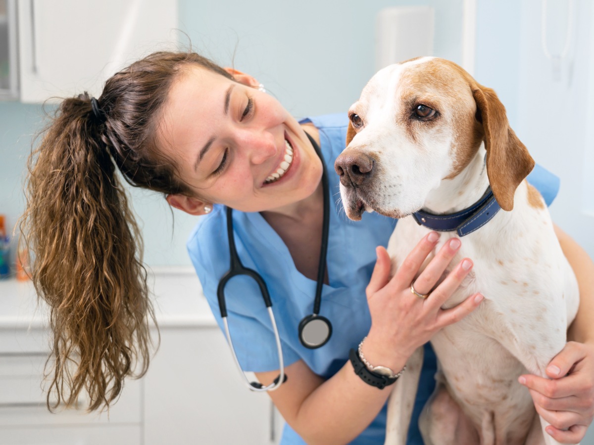 Smiling veterinarian with a dog during checkup