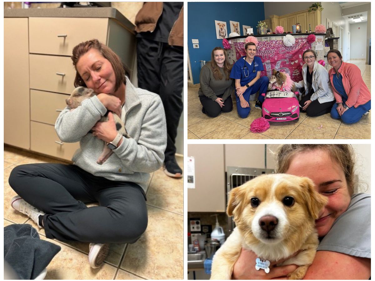 Pet photos in a frame